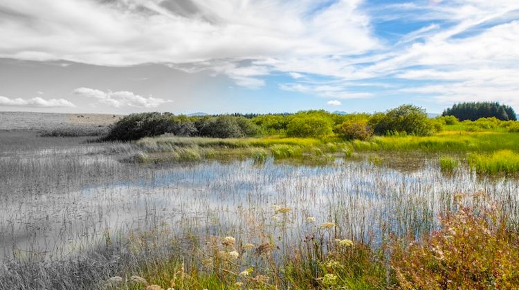 Un fonds NAture pour préserver le patrimoine naturel